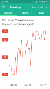 Sökmotoroptimering resultat pregalmedia.se med nyckelord webshop magento